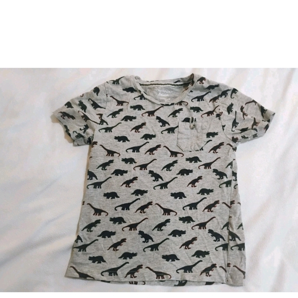 Dinosaur Adventure Kids Tee - Gray